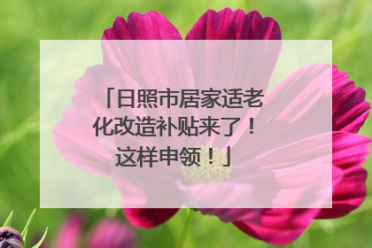 日照市居家适老化改造补贴来了！这样申领！