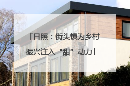日照：街头镇为乡村振兴注入“甜”动力