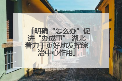 明确“怎么办”促进“办成事” 湖北着力于更好地发挥综治中心作用