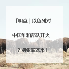 明查｜以色列对中国维和部队开火？别张嘴就来