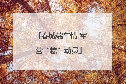 春城端午情 军营“粽”动员