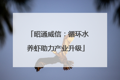 昭通威信：循环水养虾助力产业升级