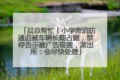 晨意帮忙丨小学旁消防通道被车辆长期占据，禁停告示被广告覆盖，派出所：会尽快处理