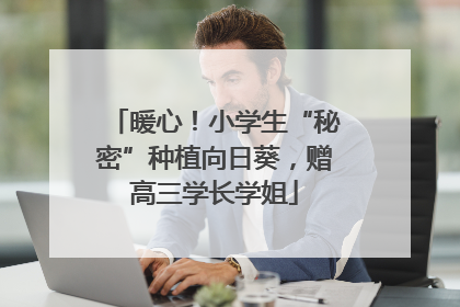暖心！小学生“秘密”种植向日葵，赠高三学长学姐