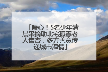 暖心！5名少年清晨采摘助北宅孤寡老人售杏，多方善意传递城市温情