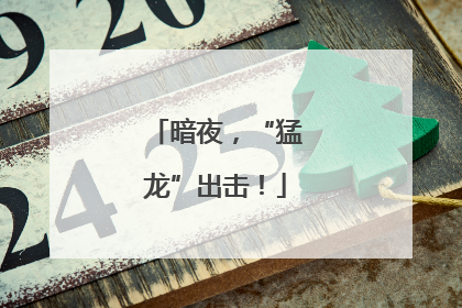 暗夜，“猛龙”出击！
