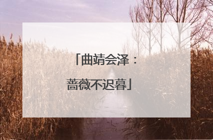 曲靖会泽：蔷薇不迟暮