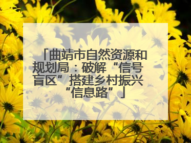 曲靖市自然资源和规划局：破解“信号盲区”搭建乡村振兴“信息路”