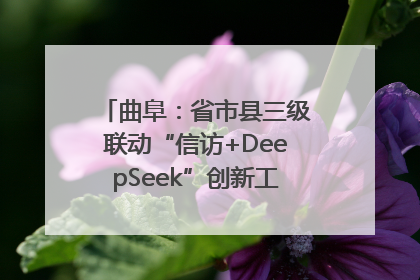 曲阜：省市县三级联动“信访+DeepSeek”创新工作新闻发布会举行