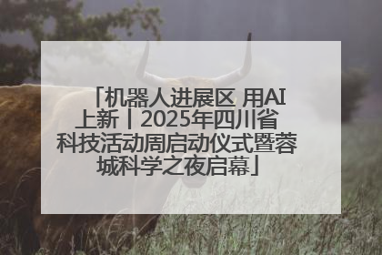 机器人进展区 用AI上新丨2025年四川省科技活动周启动仪式暨蓉城科学之夜启幕
