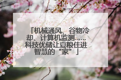 机械通风、谷物冷却、计算机监测……科技优储让夏粮住进智慧的“家”