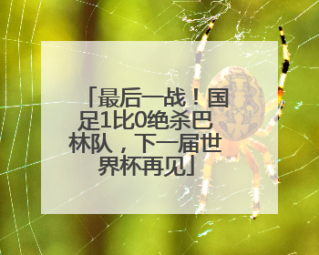 最后一战！国足1比0绝杀巴林队，下一届世界杯再见