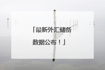 最新外汇储备数据公布！