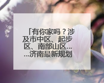 有你家吗？涉及市中区、起步区、南部山区……济南最新规划出炉