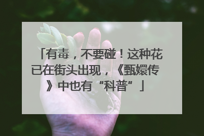 有毒，不要碰！这种花已在街头出现，《甄嬛传》中也有“科普”