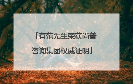 有范先生荣获尚普咨询集团权威证明