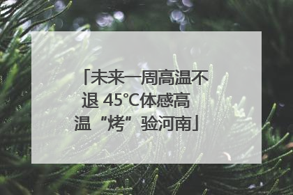 未来一周高温不退 45℃体感高温“烤”验河南