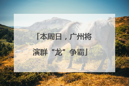 本周日，广州将演群“龙”争霸