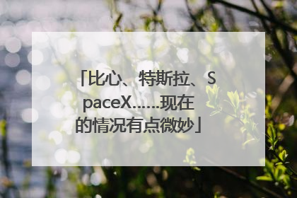 比心、特斯拉、SpaceX……现在的情况有点微妙