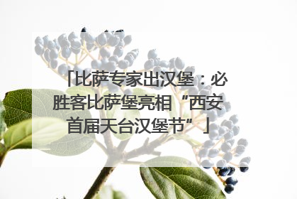 比萨专家出汉堡：必胜客比萨堡亮相“西安首届天台汉堡节”