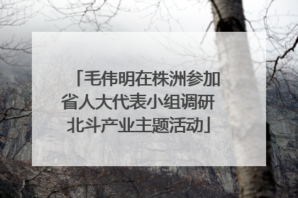 毛伟明在株洲参加省人大代表小组调研北斗产业主题活动