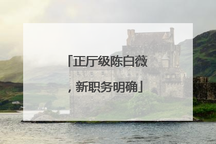 正厅级陈白薇，新职务明确