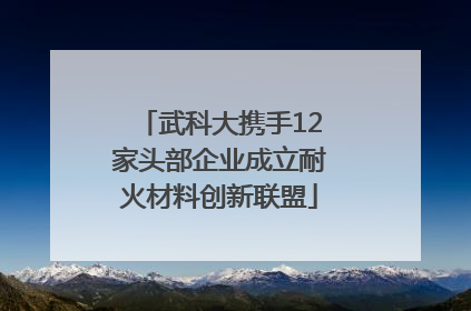 武科大携手12家头部企业成立耐火材料创新联盟