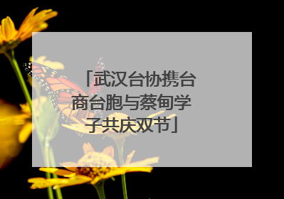 武汉台协携台商台胞与蔡甸学子共庆双节