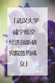 武汉大学·咸宁低空经济创新研究院签约成立