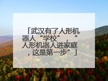 武汉有了人形机器人“学校”，“人形机器人进家庭，这是第一步”