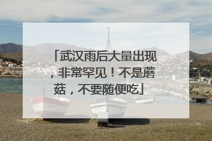 武汉雨后大量出现，非常罕见！不是蘑菇，不要随便吃