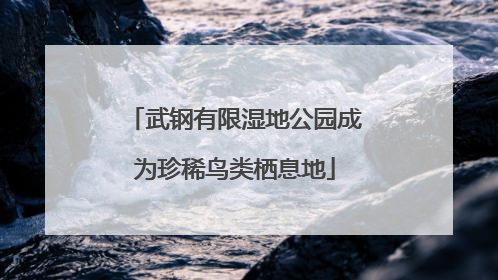 武钢有限湿地公园成为珍稀鸟类栖息地