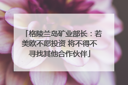 格陵兰岛矿业部长：若美欧不愿投资 将不得不寻找其他合作伙伴