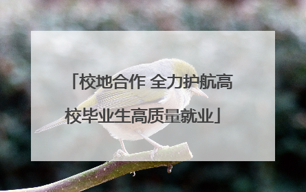 校地合作 全力护航高校毕业生高质量就业