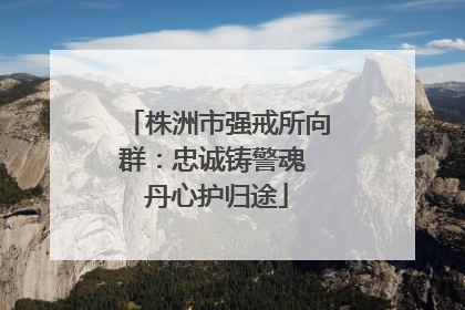 株洲市强戒所向群：忠诚铸警魂 丹心护归途