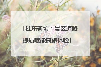 桂东新坊：景区道路提质赋能康旅体验