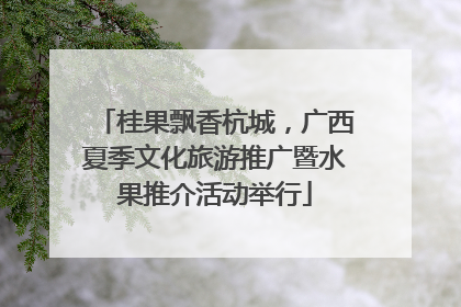 桂果飘香杭城，广西夏季文化旅游推广暨水果推介活动举行