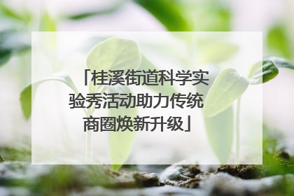桂溪街道科学实验秀活动助力传统商圈焕新升级