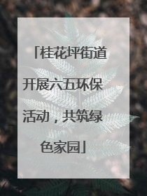 桂花坪街道开展六五环保活动，共筑绿色家园