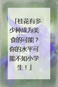 桂花有多少种成为美食的可能？你的水平可能不如小学生！