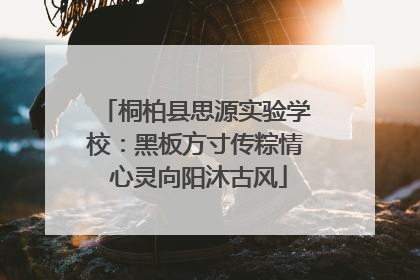 桐柏县思源实验学校：黑板方寸传粽情 心灵向阳沐古风