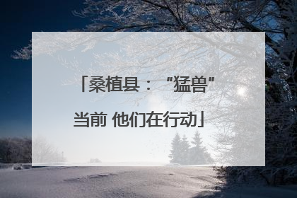 桑植县：“猛兽”当前 他们在行动
