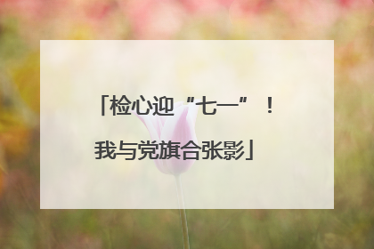 检心迎“七一”！我与党旗合张影
