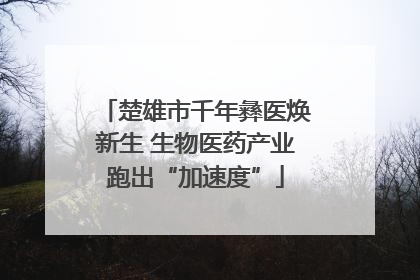 楚雄市千年彝医焕新生 生物医药产业跑出“加速度”