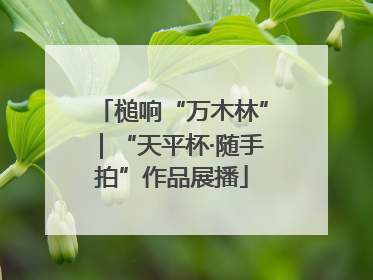 槌响“万木林”｜“天平杯·随手拍”作品展播