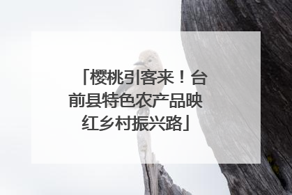 樱桃引客来！台前县特色农产品映红乡村振兴路