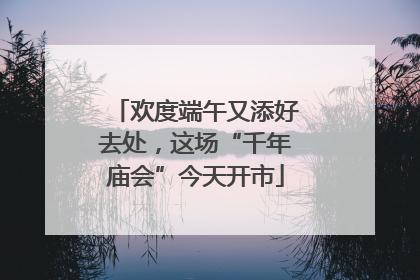 欢度端午又添好去处，这场“千年庙会”今天开市