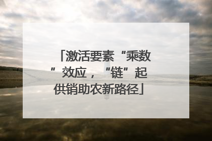 激活要素“乘数”效应，“链”起供销助农新路径