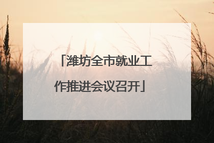 潍坊全市就业工作推进会议召开