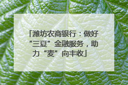 潍坊农商银行：做好“三夏”金融服务，助力“麦”向丰收